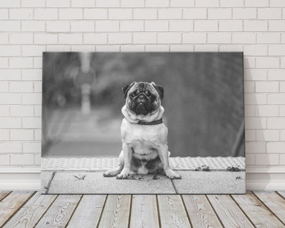 Custom pet photo canvas, view 4