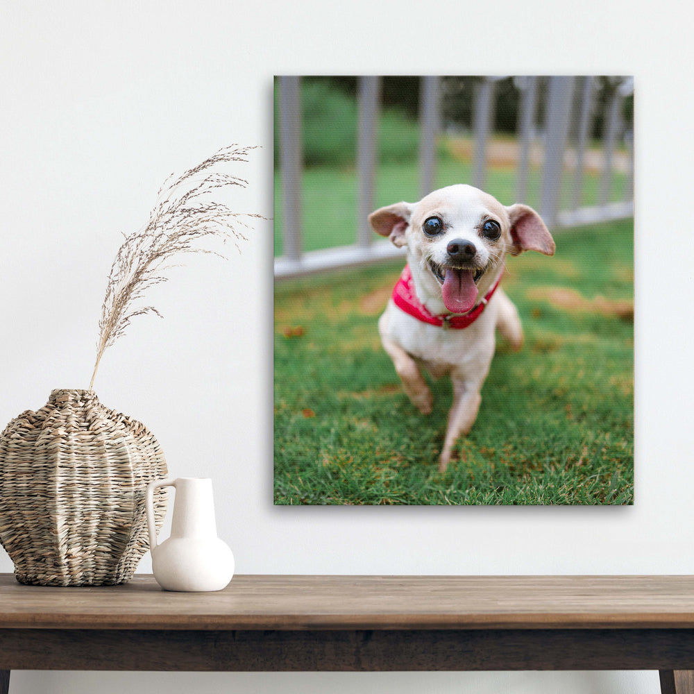 
                  
                    Custom Pet Photo Canvas
                  
                