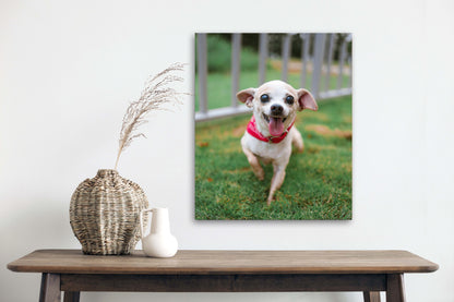 Custom pet photo canvas, view 3