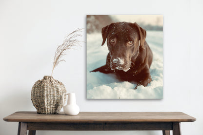 Custom pet photo canvas