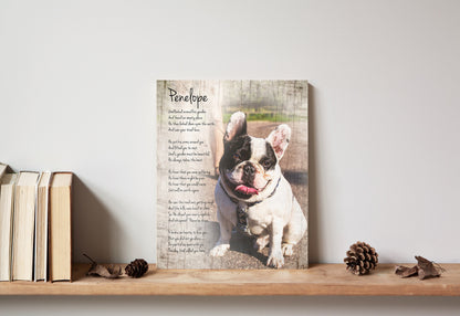 Rustic Pet Portrait on Wood - HoneycombProverbs - Signs - Photo Plaques