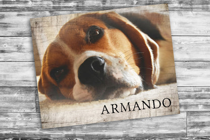 Rustic Pet Portrait on Wood - HoneycombProverbs - Signs - Photo Plaques