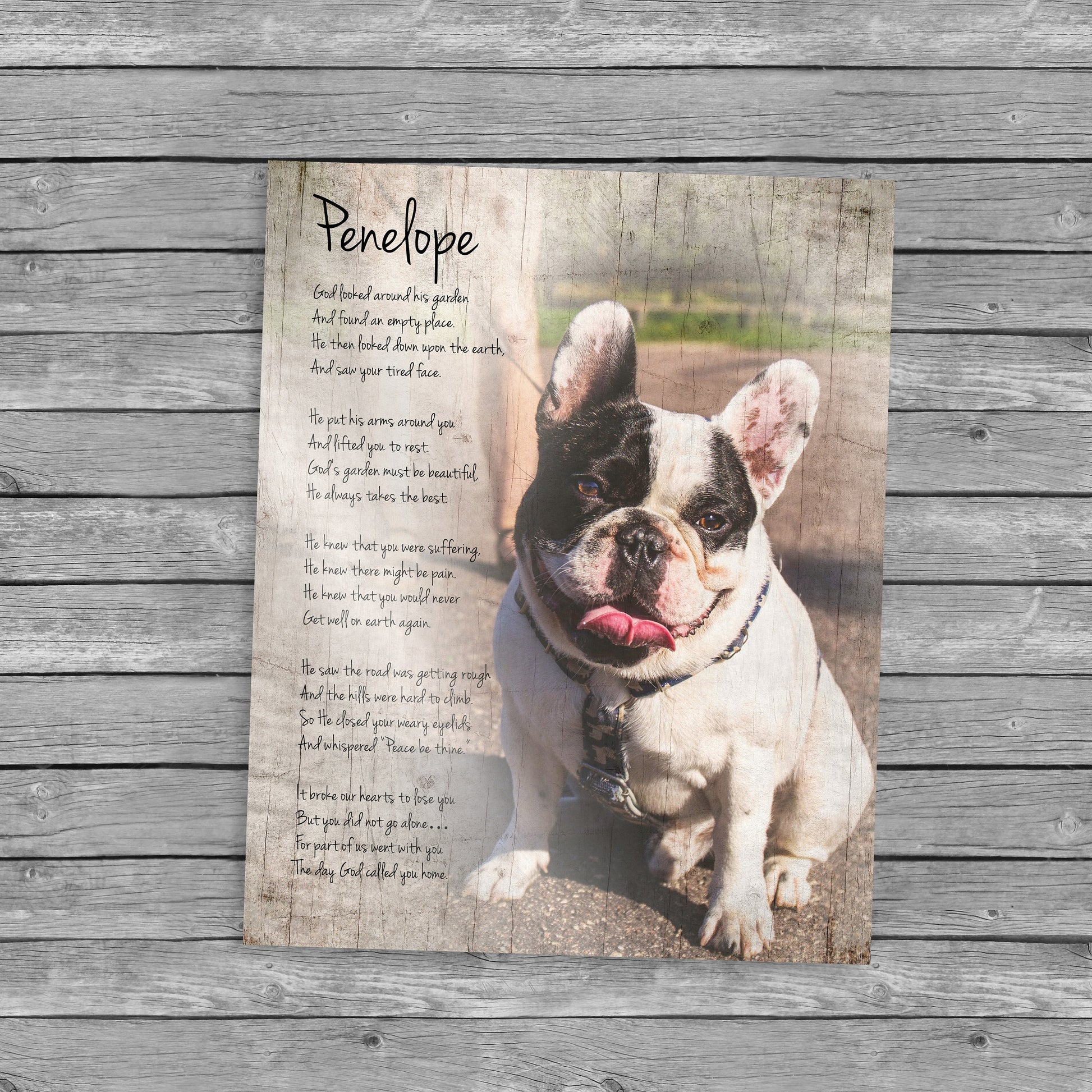 Rustic Pet Portrait on Wood - HoneycombProverbs - Signs - Photo Plaques