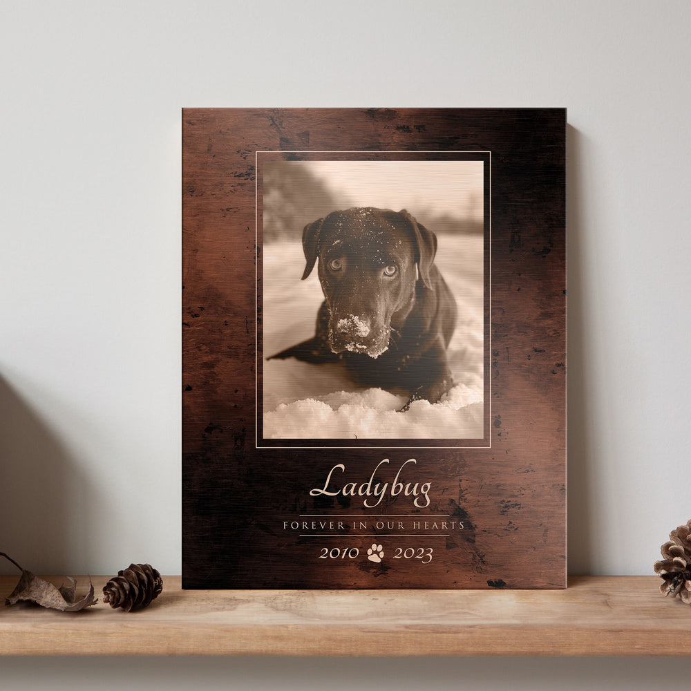 
                  
                    Pet Photo Tribute, Personalized Pet Memorial, Pet Loss, Sympathy Gift, RIP Plaque for Pet, Eulogy Plaque, Doggy Heaven, Comfort pet owner
                  
                