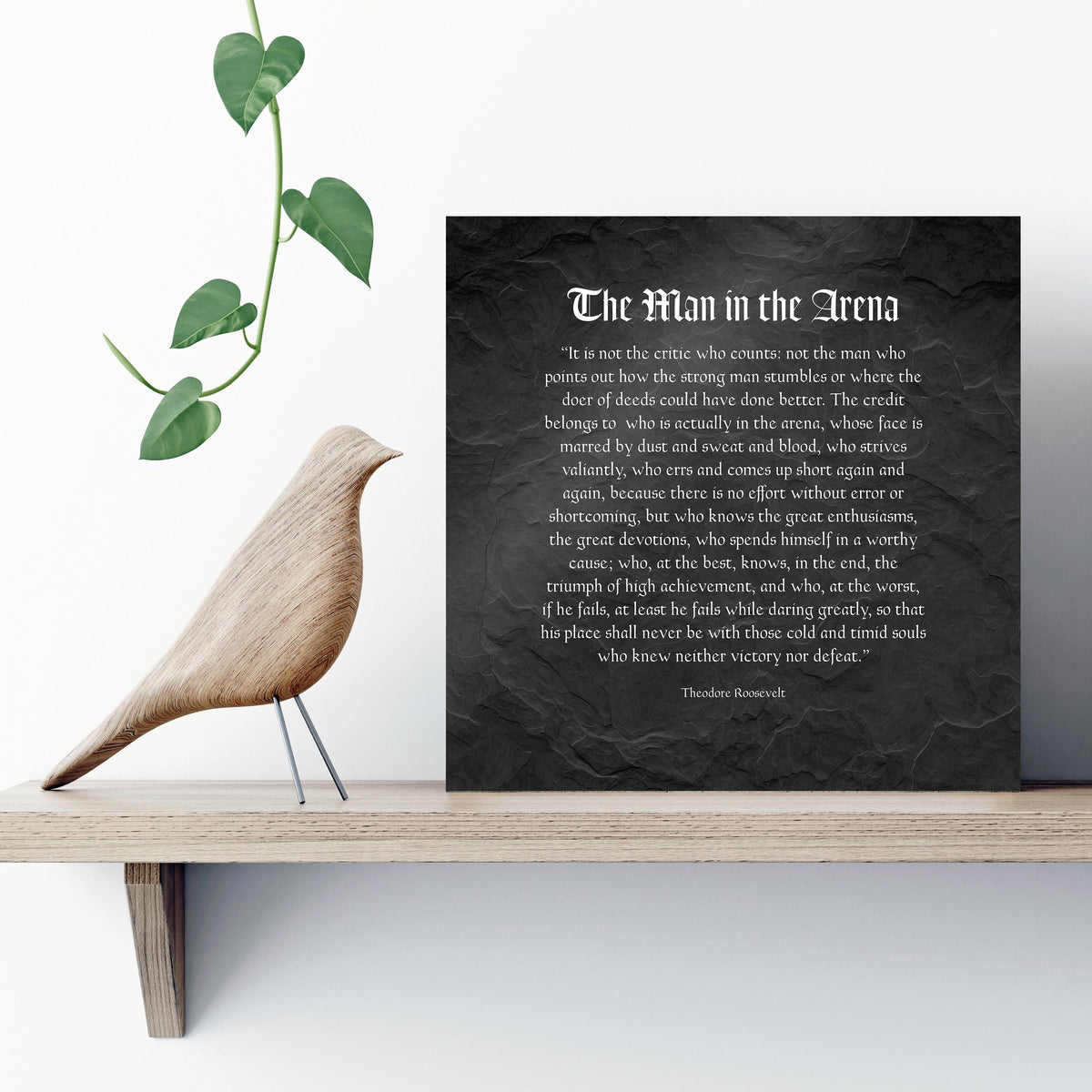 Personalized Man in the Arena Metal Plaque: Office Employee Gifts, Luxury Corporate Gifts, Dad Gift - HoneycombProverbs - Signs - Luxury Corporate Gifts