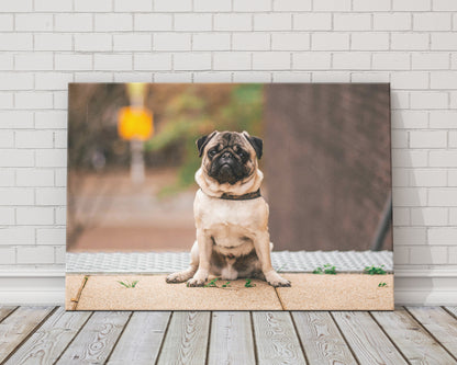 Custom pet photo canvas, view 10