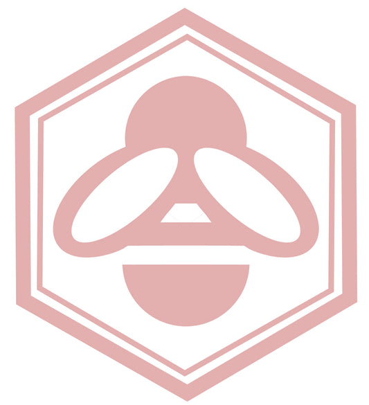 Expedited Shipping Upgrade XL Sizes